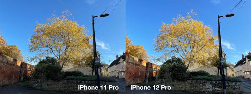 iPhone 12 Pro review: Photo comparison