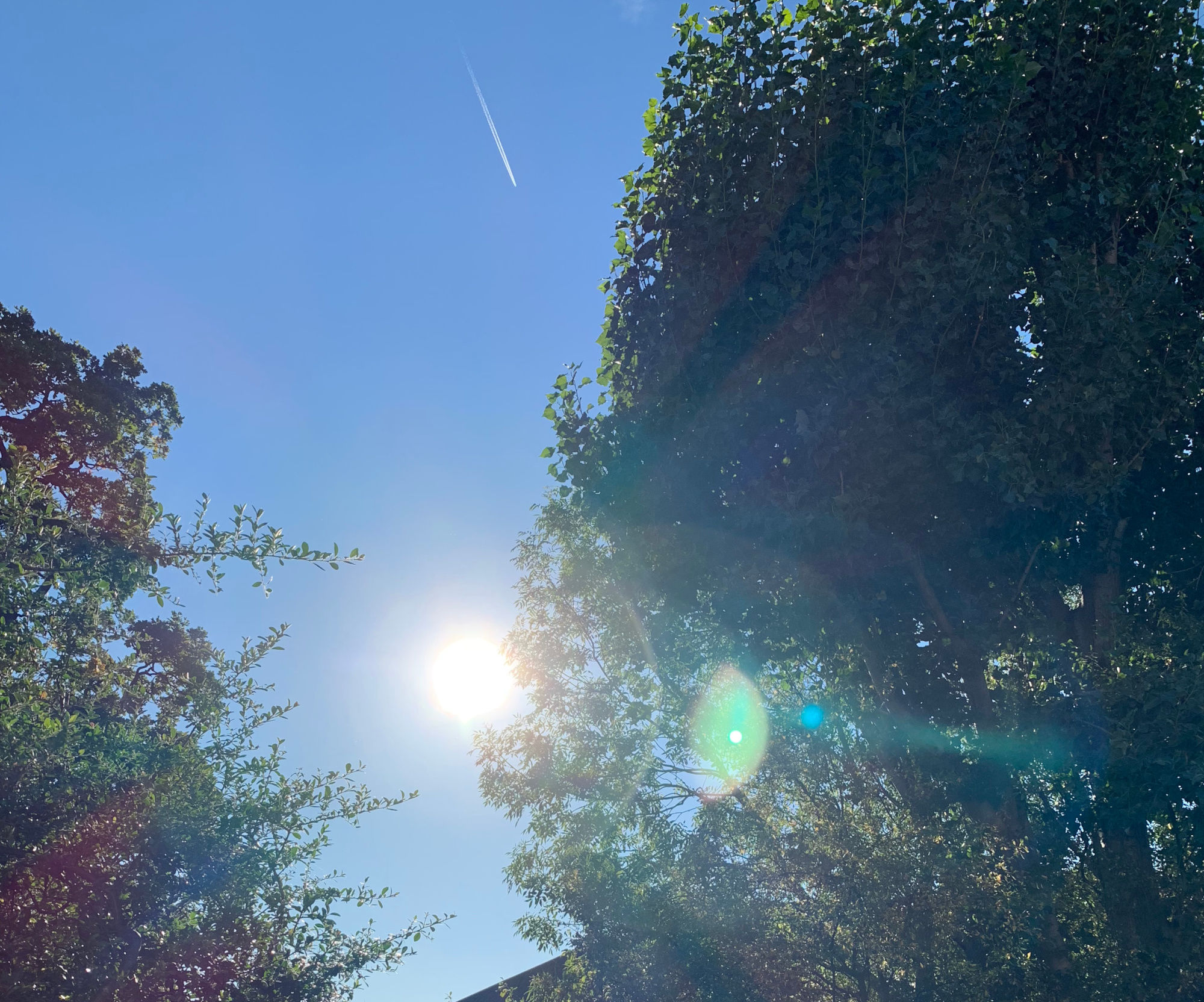 iPhone XS review: Sun camera test